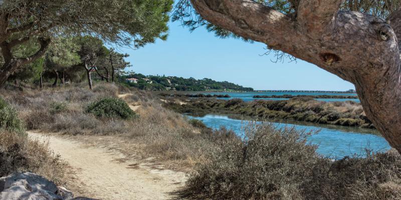 Ria Formosa in Algarve, Portugal