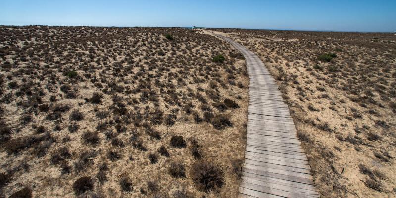 Ria Formosa, protected coastal reserve for migrating birds in Portugal