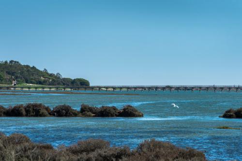 Ria Formosa in Algarve